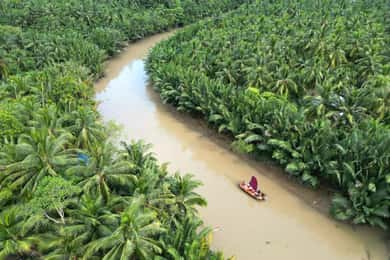 Ho Chi Minh City: Mekong Delta Day Trip with Lunch & Drinks