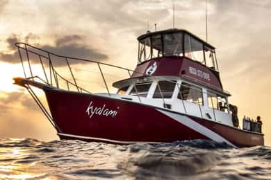 Palm Beach: Island Cruise on the Intracoastal