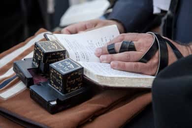 Excursão privada sem filas à Grande Sinagoga e ao Museu Judaico