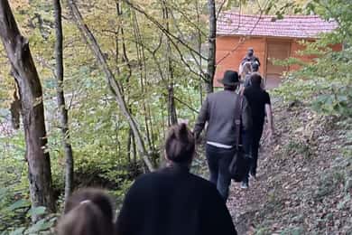 Bra��ov: 4-Hour Bear Watching Tour in Carpathian Mountains