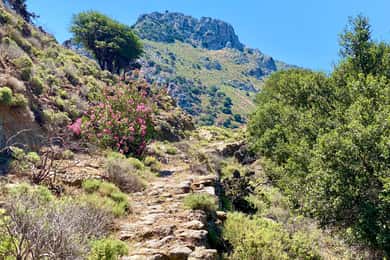 Crete: Guided Hiking Tour, Kavousi Canyon & Swimming