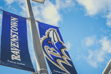 Baltimore: Ravens Football Game Ticket at M&T Bank Stadium