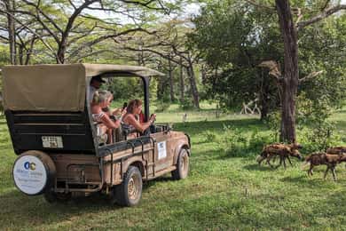 Zanzibar: Best Selous Day Safari with Flights & Lunch