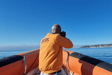 Explore Arrábida by Boat