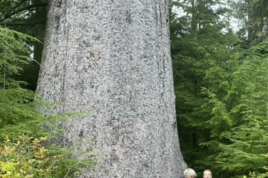 Cape Scott: San Josef Bay Day Hike with Scenic Drive