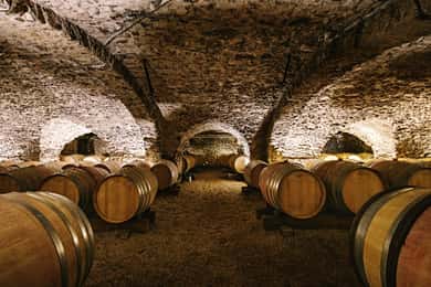 Visit : From Château des Thorins to Château du Moulin-à-Vent