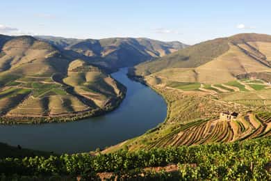 Régua to Pinhão Scenic Douro Cruise