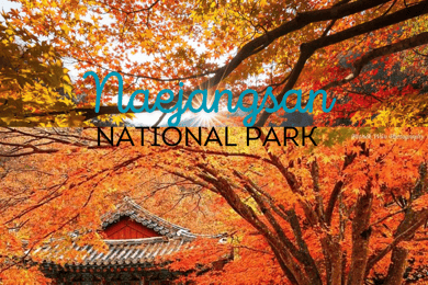 Seoul: Classic Naejangsan National Park Shuttle Bus