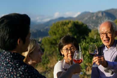 Nizza: Tour dei vigneti con degustazione di vini