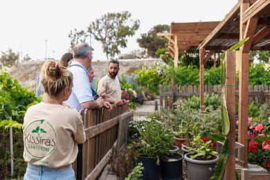 Santorini Sightseeing: Private Tour with Farm Lunch