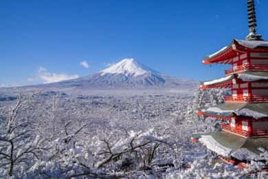 Tóquio: Monte Fuji, Tatoo OK Onsen, Prova de Sake e Almoço Hoto