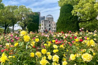 Les incontournables de Hiroshima : visite privée avec un habitant
