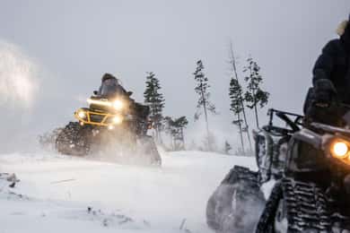 Rovaniemi Expedition "INTO THE WILD" and Glass Igloo Lunch