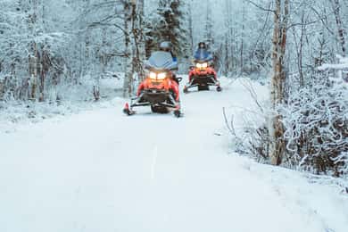 Rovaniemi: Tidig vinter 2 timmars snöskotersafari