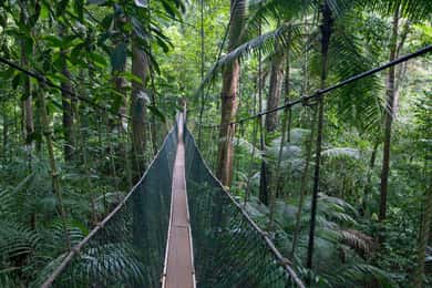 Taman Negara regnskogstur med Lata Berkoh-fossene