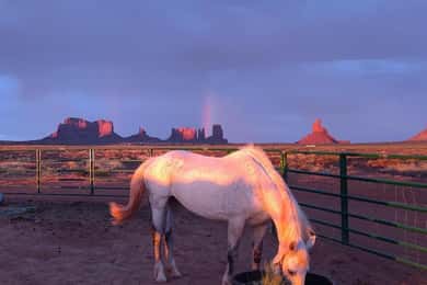 Monument Valley: Horseback Adventure Tour