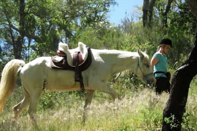 Randonnée à cheval dans la vallée d'Arrabida, deux heures