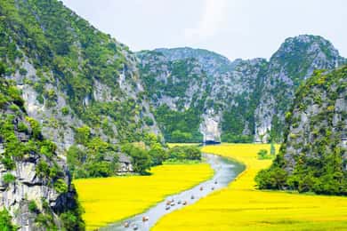 From Hanoi: Hoa Lu, Tam Coc, Mua Cave & Cycling in Ninh Binh