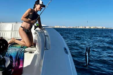 Excursión en barco llena de actividades - bahía de Gibraltar