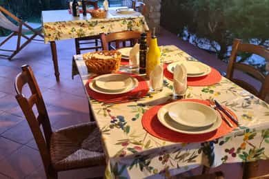 Maremma: oil and wine tasting with dinner