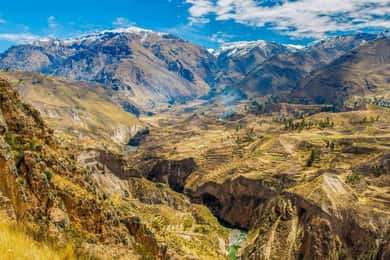 Arequipa: Canyon del Colca 2 giorni | Fine a Puno