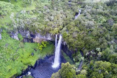 1-Day Aberdare National Park Safari Experience
