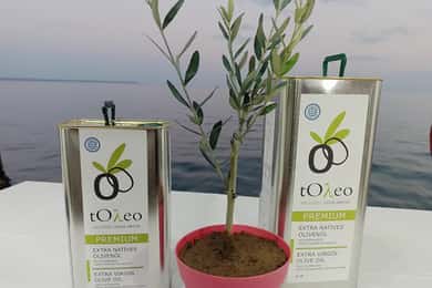 45 min. Olive Oil Workshop in Kriopigi - Halkidiki.