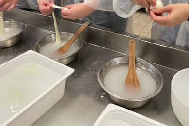 Pisa: Exclusive Private Cheese Making and Tasting Experience