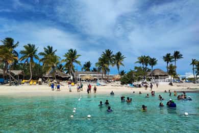 Snorkeling na Ilha Catalina: de catamarã Tudo incluído