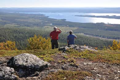 Vindelfjällens naturreservat: En vandring genom renarnas land
