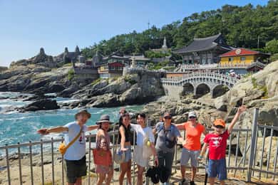 Tour privato in minibus a Busan per ospiti di crociere da 8 a 17 persone