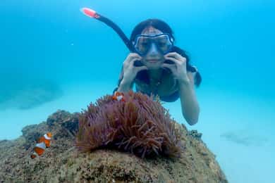 Pattaya: Lancha Rápida Privada a la Isla de Nemo con Snorkel y Barbacoa