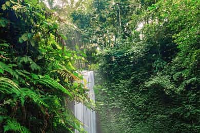 Ubud: Privétour Verborgen Watervallen en Rijstterrassen