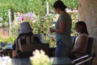 Excursão de meio dia à descoberta do vinho e das atracções turísticas de Busselton