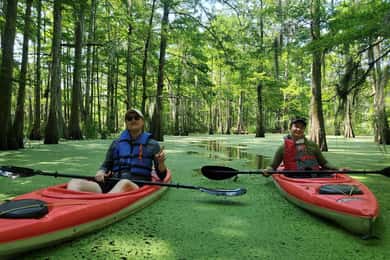 Bacino di Atchafalaya: 2,5 ore. Tour guidato in kayak