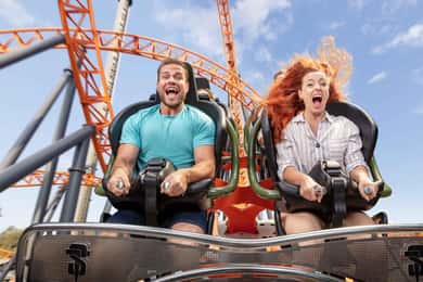 3-dagars biljett: Dreamworld & SkyPoint