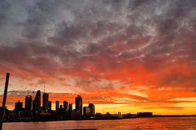 Auckland: Nachtlichter-Kreuzfahrt mit Häppchen und Getränk