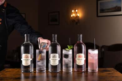 Esperienza di degustazione di gin con un servizio perfetto
