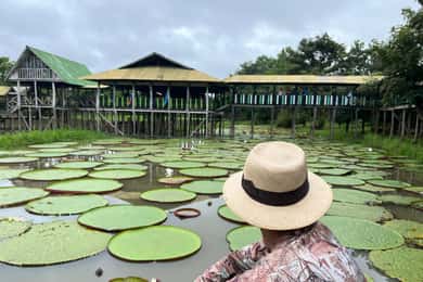 Flor de Loto Nature Reserve Day Tour