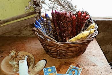 Plants and natural elements for Witchcraft and Tarot