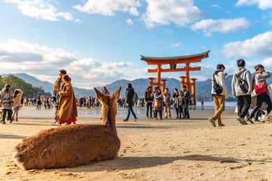 Excursion d'une journée à Hiroshima et Miyajima avec le sanctuaire d'Itsukushima