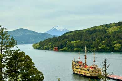 Tokyo: Hakone Private Tour with Onsen and Lake Ashi Cruise