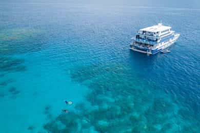 Cairns: Great Barrier Reef Bootsausflug mit Übernachtung zum Schnorcheln