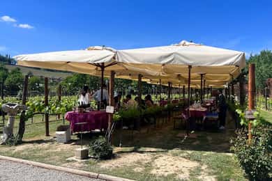 Desde Roma: Siena y S. Gimignano, Ruta del Vino de un Día por la Toscana