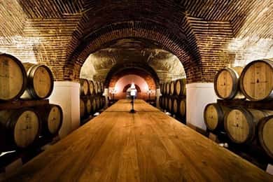 Lisbon: Private Full Day Evora & Alentejo Wine Tour