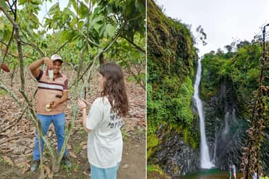 Guayaquil Cloud forest and cocoa farm tour & Lunch