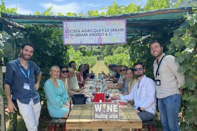 Tuscan Wine Tour by van from Lucca