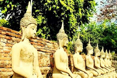 Ayutthaya: Highlights Tour with Unecso Historical Park