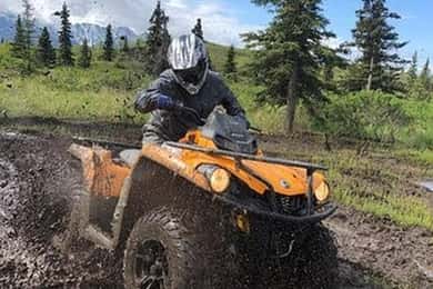 Willow: Dog Sledding & ATV/UTV Combo Tour