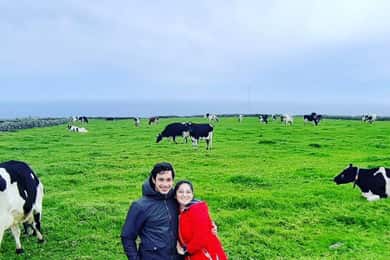 Terceira Island: Full Day Van Tour